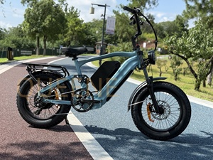 Vélo électrique 48V/72V 35AH 20/24 pouces avec frein à disque hydraulique, suspension intégrale, batterie intégrée, vélo électrique - Product Image 1