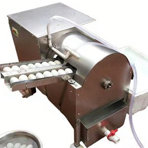 Nueva Lavadora de Huevos Automática de Acero Inoxidable con Motor y Sistema de Circulación de Agua Pequeño para Uso en Panaderías y Bodegas - Product Image 5