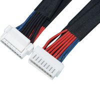 Jst Xhp 2.54Mm Konektor Pitch 2 Pin atau Maksimum 20 Pin Memanfaatkan Kabel 4 Pin 4 Cara 24awg Perempuan Idc Pigtail dengan Kabel Kawat
