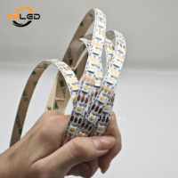 Tira de LED RGBW SK6812 5V 60LEDs/M SMD5050 direccionable individualmente, impermeable, para decoración navideña de jardín exterior, CE RoHS