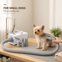 Sèche-cheveux pour animaux de compagnie, haute puissance, fonctionnement silencieux avec protection contre la surchauffe pour chiens et chats de grande race, 220V, séchage du pelage