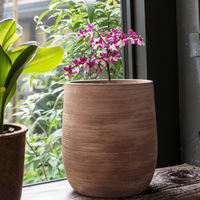 Pot de fleur d'intérieur/extérieur de kit de plante verte de vente chaude avec l'option d'affichage de bureau de décoration de jardin de pergola pour la maison