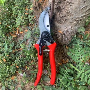 Forbici da <span class=keywords><strong>Potatura</strong></span> Manuali in Acciaio con Manico in Metallo Rosso, Cesoie Resistenti per Frutteti e Giardinaggio - Product Image 2
