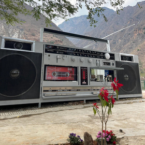 Fonografo di grandi dimensioni, FOOD Bus, bar creativo Mobile, strada commerciale all'aperto, flusso di traffico, CHECK-IN e carrozza ristorante - Product Image 4