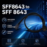 Cable de Expansión de Almacenamiento Interno SFF-8643 Mini SAS HD, Carcasa de Fibra de Vidrio para PC, Doble Blindaje de Lámina de Aluminio, Velocidad de 12 Gbps