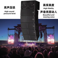 Sistema de Altavoces Line Array Dual de 12 Pulgadas Personalizado con Altavoces Line Array Pasivos Profesionales