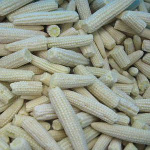 Verduras al vapor de maíz de bebé fresco de congelación rápida de calidad superior IQF para el mercado global gourmet - Product Image 5