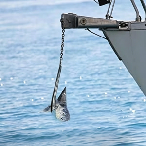 Ancre Delta Robuste en Acier Inoxydable, Conception Sans Queue pour <span class=keywords><strong>Navire</strong></span>, Acier Moulé <span class=keywords><strong>de</strong></span> Qualité Marine, Matériel Certifié CCS ABS - Product Image 3