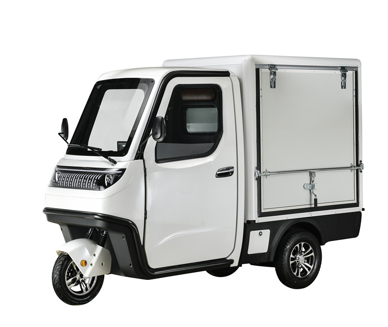 EEC Electric Cargo Trike 1000W Motor