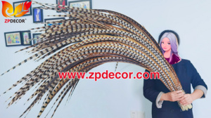 Nhà Máy Bán Buôn Từ Zpdecor 150-160 Cm Siêu Dài Tự Nhiên Reeves Gà lôi Đuôi Lông Cho Lễ Hội Trang Phục - Product Image 5