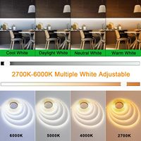 DC24V Dual White CCT Réglable Cob Led Strip Light 608LED/M avec Corps en Cuivre IP20