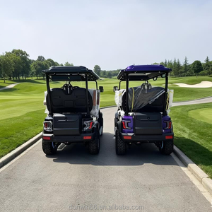 Carrito de Golf Eléctrico 4x4 de 1-2 Plazas Todoterreno con Motor de 5KW, Batería de Litio de 60V, Compatible con Villas Vacacionales, Controlador Curtis, Aluminio - Product Image 1