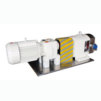 Pompe à lobes rotatifs de qualité sanitaire en acier inoxydable pour huile végétale, sauce à la glycérine et aux huîtres, pompe de transfert de liquide à haute viscosité