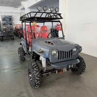 Jeep tout-terrain haute performance, voitures confortables personnalisées, Jeep de plage, buggy, livraison directe d'usine, livraison rapide, prix fiable