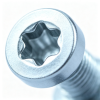 Sekrup Kepala Keju Hex Socket ISO14580 Torx Socket Berlapis Seng Baja Tahan Karat Ulir Kasar untuk Ruang Terbatas Presisi Tinggi