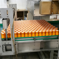 ENAK Automatische Apparatuur voor het Conserveren van Peren, Sinaasappels, Ananas en Perziken, Inclusief Verwerkingslijn