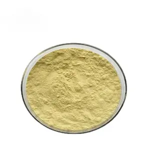 Dried Ginger Extract Powder Ginger Tea Powder