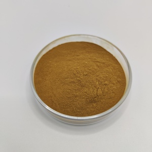 Polvo de <span class=keywords><strong>Asarum</strong></span> de Grado Alimenticio, Extracto Herbal Natural en Polvo de <span class=keywords><strong>Asarum</strong></span> - Product Image 2