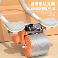 URPOOL Roue en Acier PP Portable Multifonctionnelle pour Entraînement à Domicile, Gym et Exercice Abdominal de Yoga