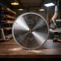 Lame de scie circulaire TCT spéciale pour la découpe de panneaux, 300 mm (12 pouces), 96 dents, bord lisse, pour panneaux composites en bois, certifiée ISO CE