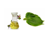 Ekstrak Herbal suplemen nutrisi Food Grade 50% 60% minyak biji Perilla berkualitas tinggi