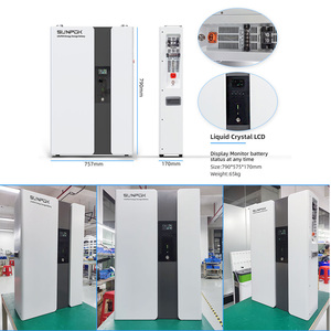 Sistema Híbrido Todo en Uno de 10kw con Batería de Litio de 200Ah para Almacenamiento de Energía Doméstica, Aplicaciones Solares de 48V y 300Ah de Capacidad, Modelo SP-48100-BG - Product Image 2