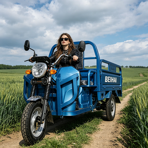 Superauto de Tres Ruedas 2026, Mini Scooter Eléctrico Barato de 60V 2000W, Triciclo Eléctrico de 3 Ruedas para Adultos - Product Image 1