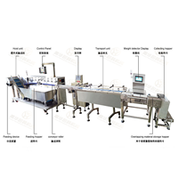 Machine de tri et d'emballage automatique de sachets et de bandes de friandises pour chats de haute qualité YH