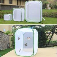 Cage à insectes en plastique pliable pour oiseaux d'élevage papillons mante avec maille Habitat grille cocon Net accessoires solides