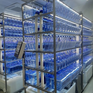 Sistema di Allevamento Zebrafish IVC per Ricerca di Laboratorio - Controllo Ambientale di Precisione e Benessere Animale - Product Image 6