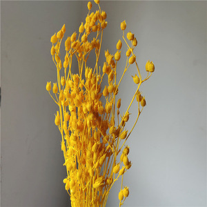 All'ingrosso fiorentiner fiori artificiali secchi per matrimoni e decorazioni per la casa fai da te per la festa della mamma - Product Image 4