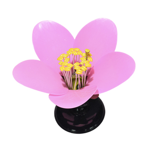 Modelo de Demostración de Disección de Flor de Durazno - Product Image 1
