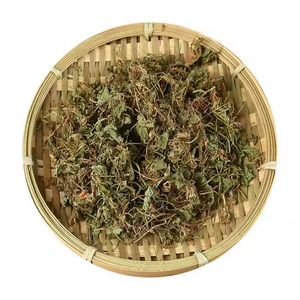Centella Asiatica Gota Kola สำหรับชงชา - Product Image 1