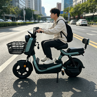 Vélo électrique à cadre en aluminium 48V 350W avec freins à double tambour