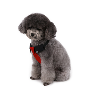 2025 köpek İngiliz tarzı düğün siyah yaka + kırmızı kravat köpek kostüm - Product Image 2