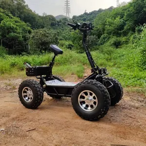 دراجة كهربائية رباعية العجلات للبالغين 21 بوصة الدهون الإطارات 60V 8000W الكهربائية ATV سكوتر مع سلة