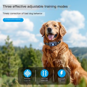 Nuevo Collar de Adiestramiento <span class=keywords><strong>para</strong></span> <span class=keywords><strong>Perros</strong></span> Recargable, Impermeable IP67, con Alcance de 1300m <span class=keywords><strong>para</strong></span> <span class=keywords><strong>Perros</strong></span> Pequeños a Grandes - Product Image 2