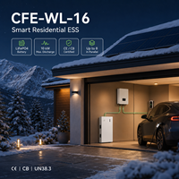 Batterie solaire LFP4 16kWh 10kWh 5kWh 51.2V 314Ah CFE-WL-16 compatible Solis pour système ESS résidentiel CE CB OEM