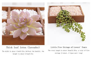 Plantes artificielles succulentes, non en pot, fausses fleurs, pour la décoration de la maison et du bureau, prix d'usine, - Product Image 2