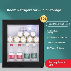 Mini Refrigerador Eléctrico <span class=keywords><strong>de</strong></span> 30L, Sin Escarcha, Enfriamiento por Semiconductor, para Bebidas, Té, Medicamentos, Uso en Hoteles y Hogares, Venta al Por Mayor - Product Image 2