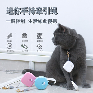 Mini laisse de traction pour animaux de compagnie, laisse rétractable de 3m pour lapin, petits animaux - Product Image 2
