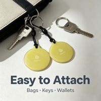 Etiqueta NFC Epoxi, Llavero NFC para Instagram