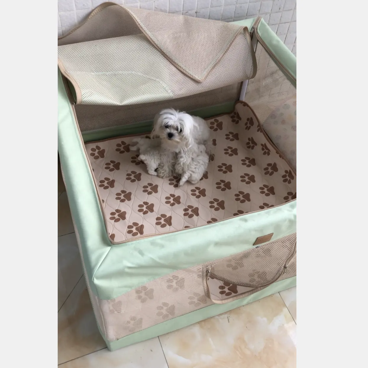 Casa interior personalizada para mascotas para perros embarazadas Welp Box Playpen plegable Puppy Whelp Box