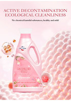 Lc Échantillons gratuits Détergent à lessive liquide de lavage domestique moderne bon marché Parfum Savon Détergent à lessive avec ingrédients naturels