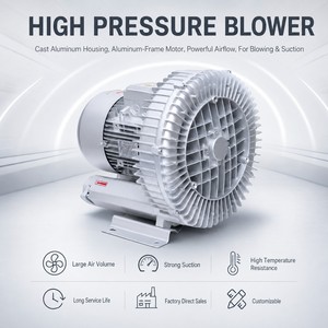 Souffleur à anneau vortex sans huile, faible bruit, haute pression, électrique à courant continu, à rotor externe, en acier inoxydable, aérateur OEM pour poissons et crevettes - Product Image 2