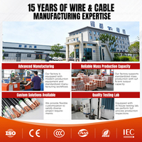 Câble d'alimentation 0,6/1 kV ZC-YJV 4x25+1x16mm² en cuivre XLPE 5 conducteurs pour ascenseur commercial et alimentation de secours en cas d'incendie