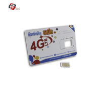 Kartu SIM PVC 128K 4G LTE untuk Ponsel, Kartu SIM Setengah