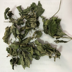 5012 Bo <span class=keywords><strong>He</strong></span> Ye Vente en gros de produits de santé Feuilles de <span class=keywords><strong>menthe</strong></span> séchées <span class=keywords><strong>Menthe</strong></span> <span class=keywords><strong>poivrée</strong></span> pour le thé Thé aux herbes Thé santé - Product Image 2