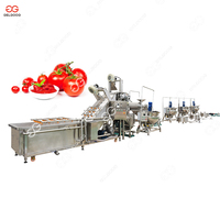 Ligne de production industrielle de concentré de tomate de grande capacité, mini usine complète de transformation de concentré de tomate industrielle