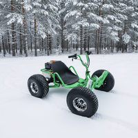 Kart électrique 48V 500W pour la course, le drift et la piste, charge maximale : 300 kg, conçu pour les pistes de jardin et les courses en plein air